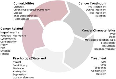 A practical framework for the design of resistance exercise interventions in oncology research settings—a narrative review